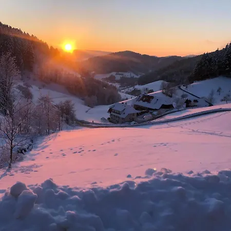 Haus Mit Whirlpool, Sauna Und Schwarzwaldblick * Хаузах