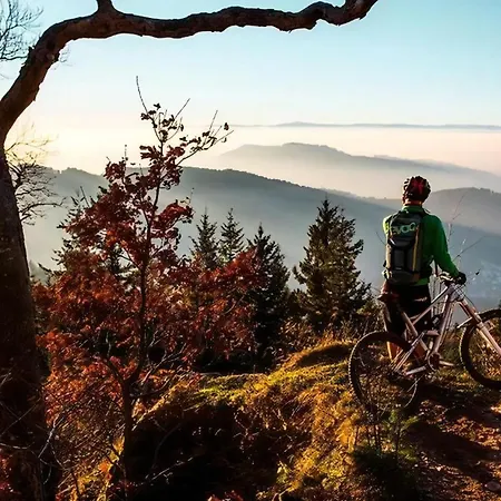 Дом отдыха Haus Mit Whirlpool, Sauna Und Schwarzwaldblick *
