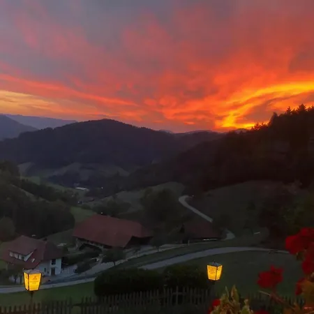 Haus Mit Whirlpool, Sauna Und Schwarzwaldblick Hausach